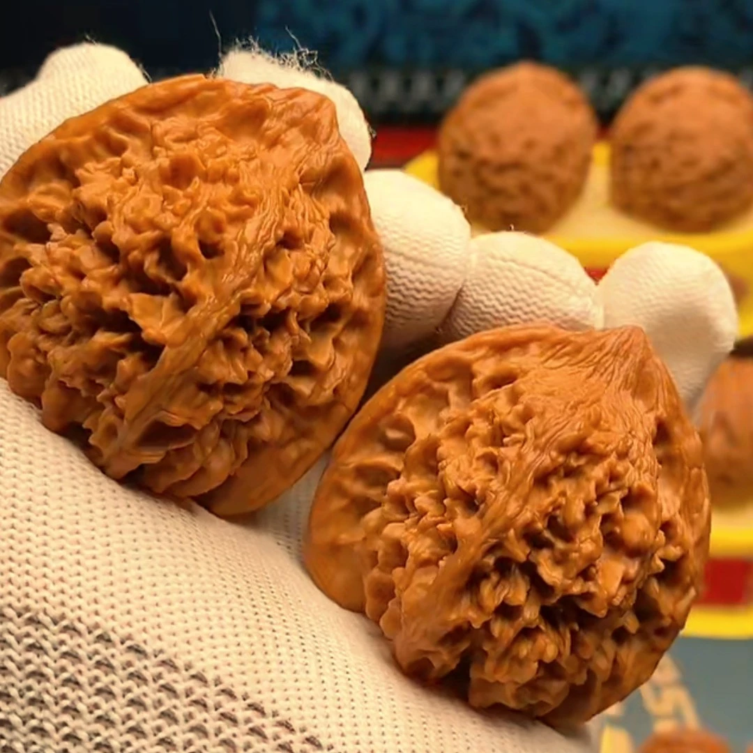 涞水精品麻核桃44.5满天星