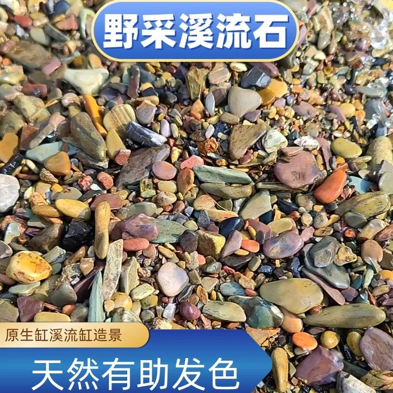 溪流石原生缸造景底沙天然溪流砂南美缸雷龙鱼水草装饰河沙川藏砂