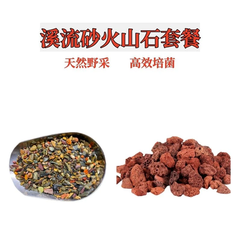 【火山石溪流石套餐】原生缸造景底沙天然砂南美雷龙鱼水草装饰鱼缸