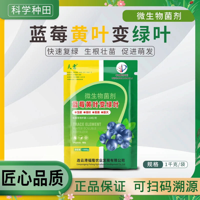 天需蓝莓黄叶专用微生物菌剂蓝莓红叶黄叶变绿速绿黄叶专用生根