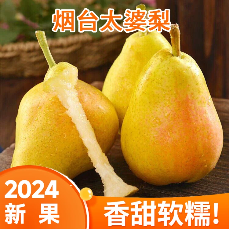 【2024新梨】5斤太婆梨新鲜香蕉梨水果当季梨子烟台大头梨老妈子梨