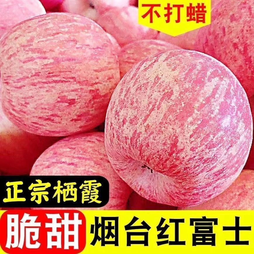【正宗】山东烟台栖霞红富士苹果3斤中果带箱水果当季盒糖心苹果