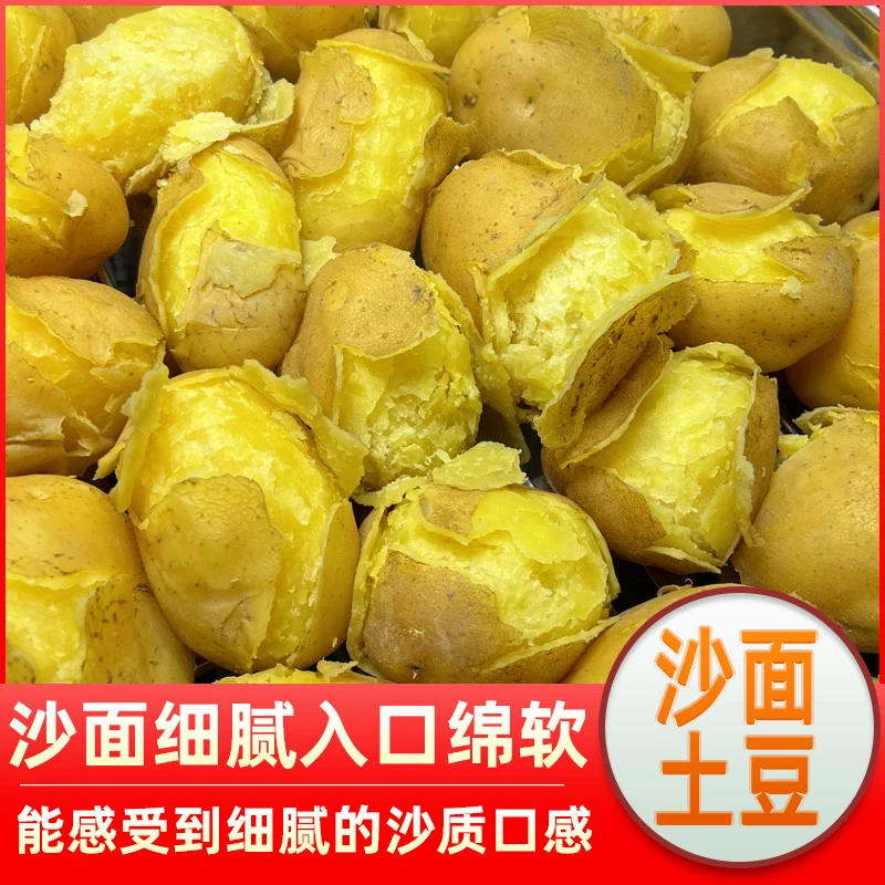 甘肃定西沙面黄心土豆马铃薯新鲜土豆旱沙地种植软糯好吃洋芋批发
