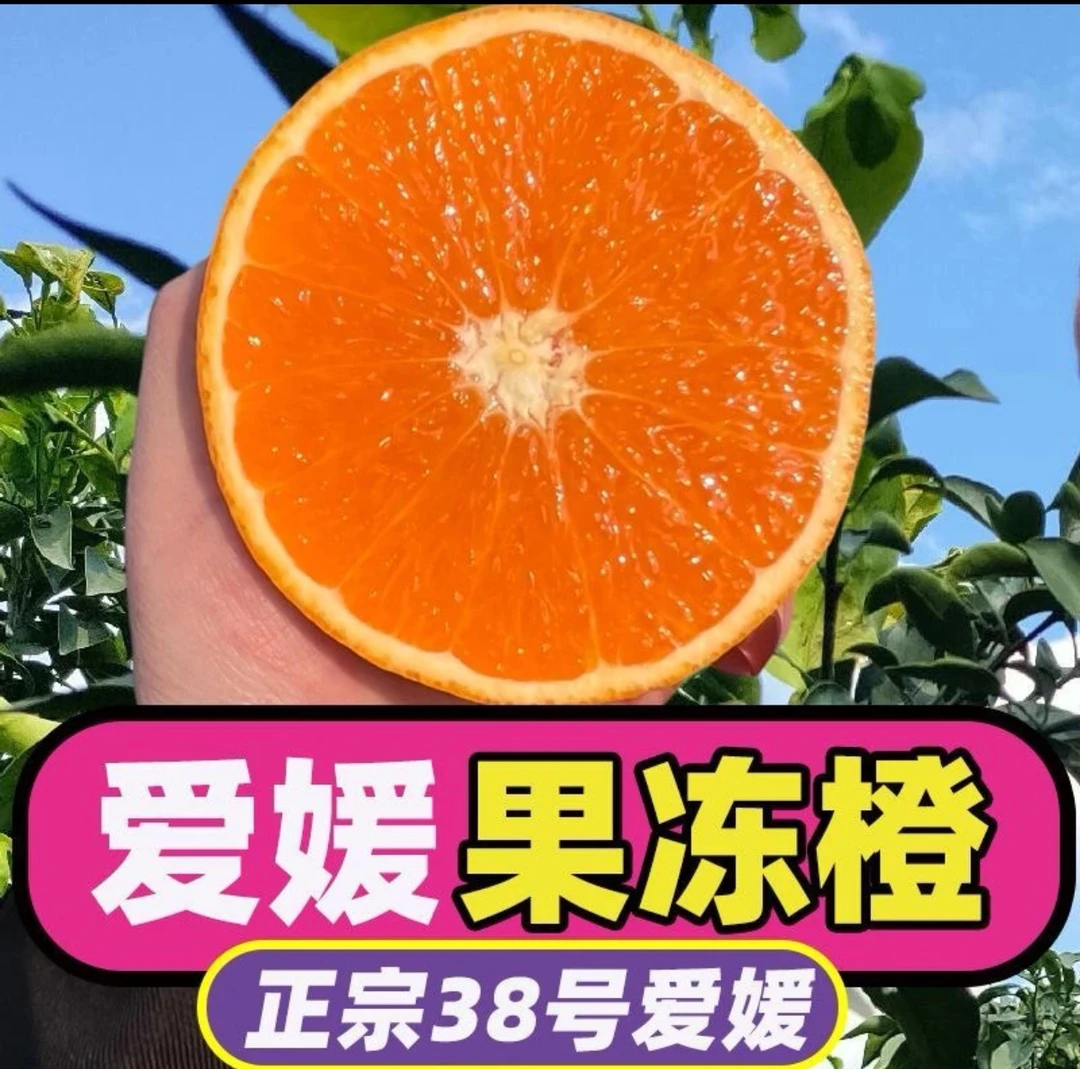 四川爱媛果冻橙新鲜皮薄应季天然水果香甜尝鲜3斤小果（超级福袋）
