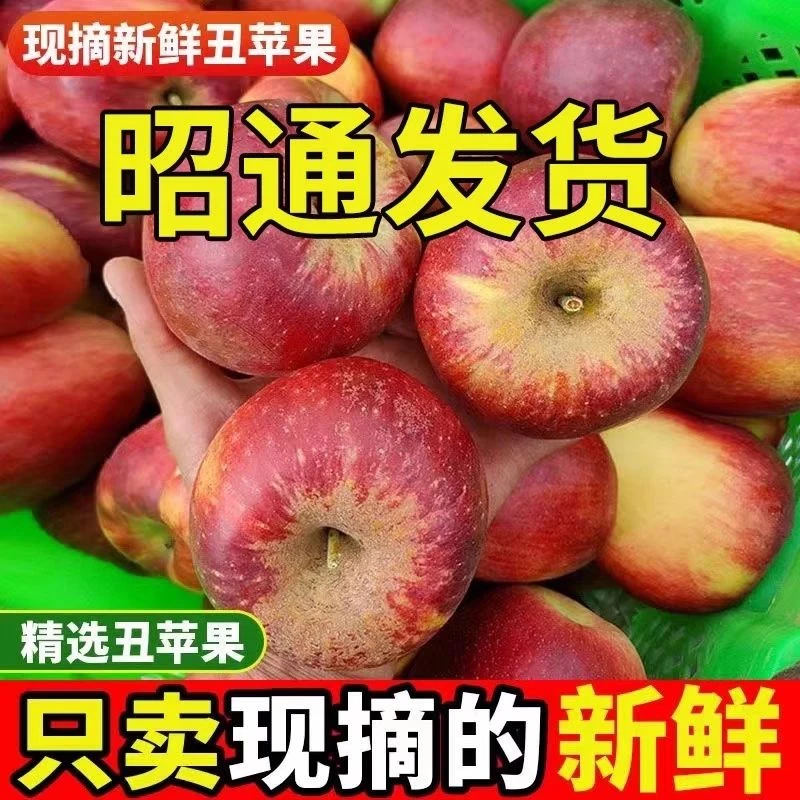 现摘云南昭通冰糖心丑苹果水果新鲜当季富士糖心苹果脆甜新鲜苹果