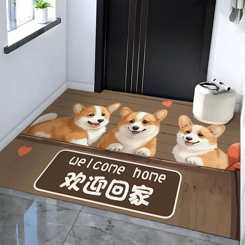 入户门地垫家用免洗懒人玄关进门口可擦免洗pvc耐脏脚垫皮革地毯