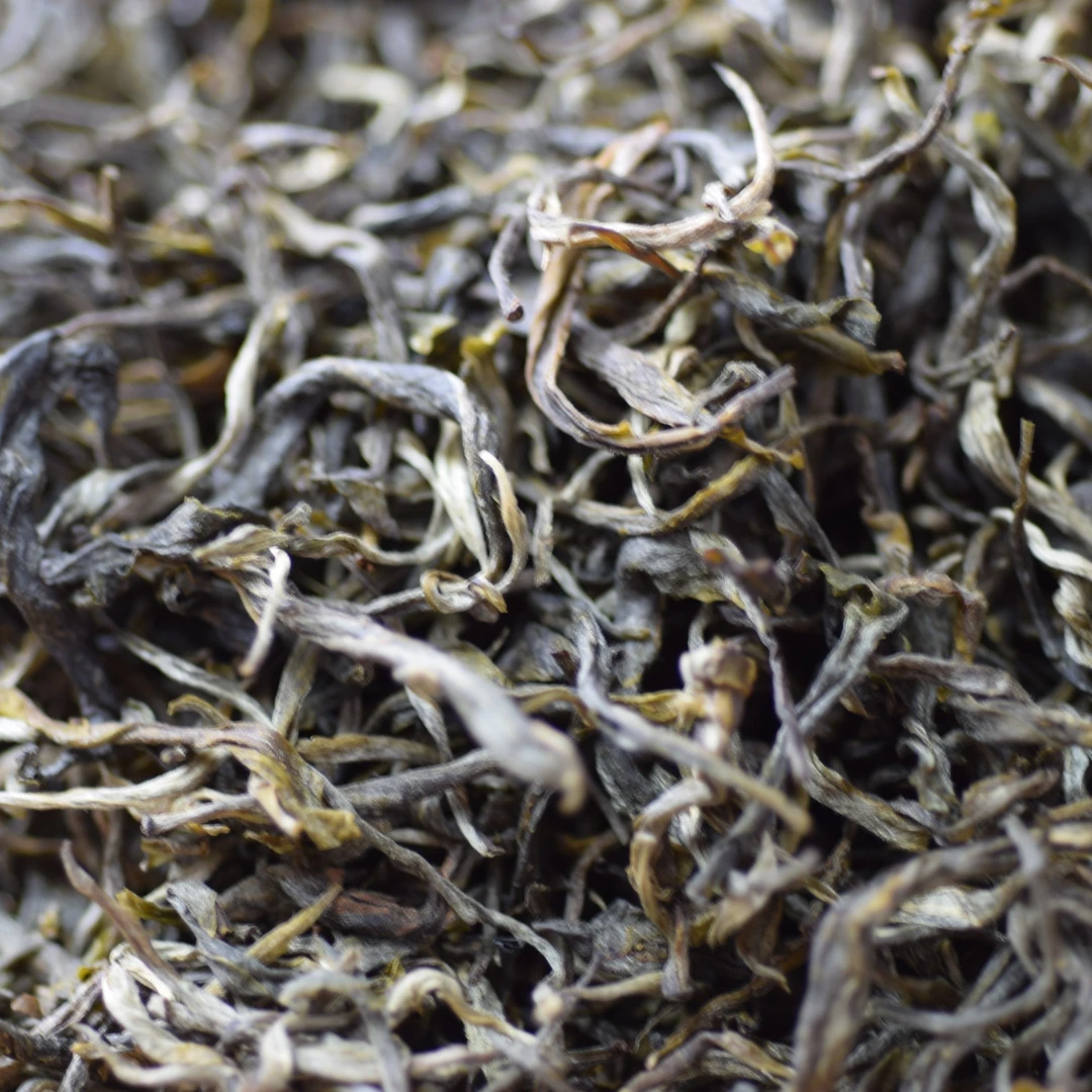 云南凤庆滇绿茶烘青绿茶大叶种绿茶