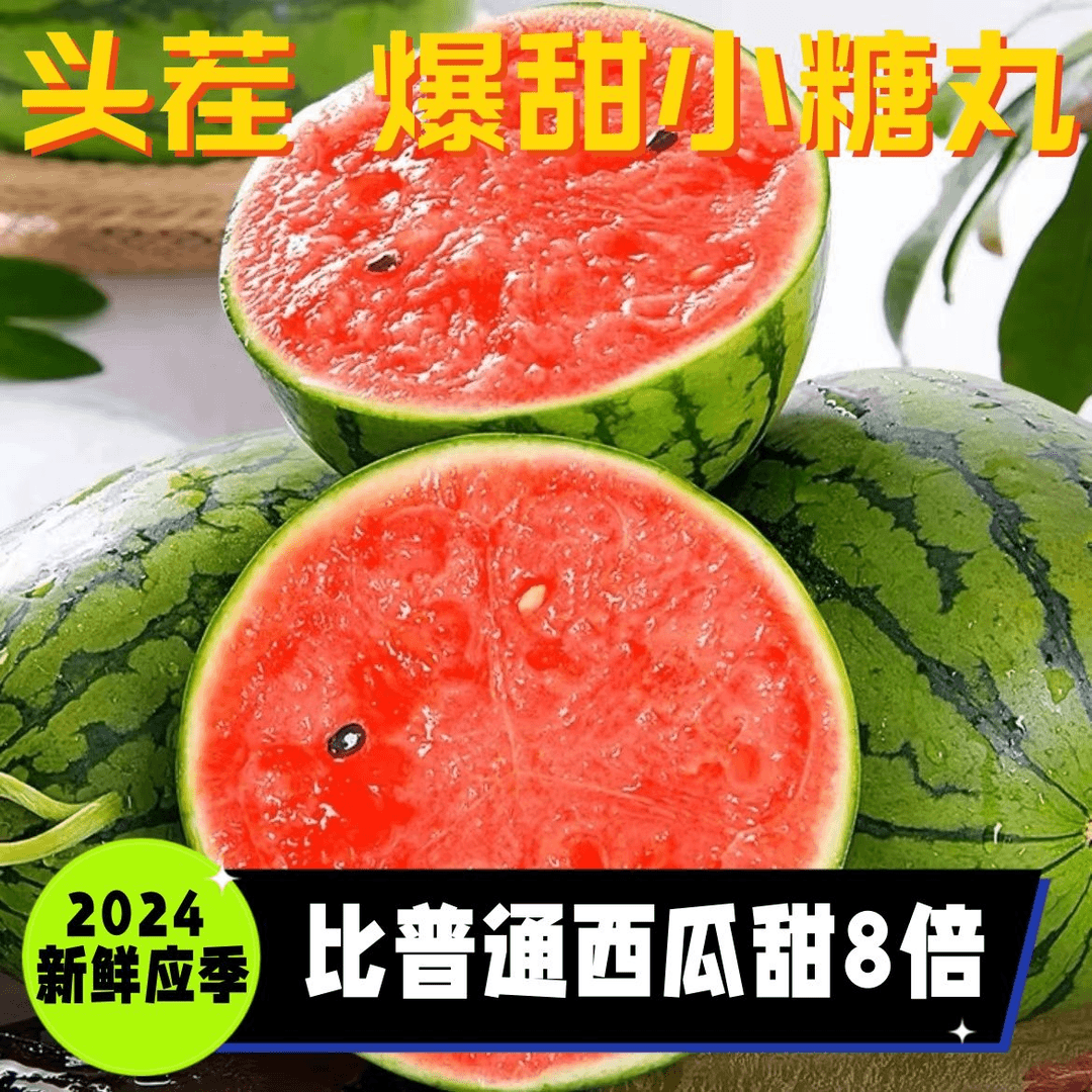 山东潍坊2k小糖丸2k手撕小西瓜现摘现发坏果包赔新鲜水果贵族西瓜