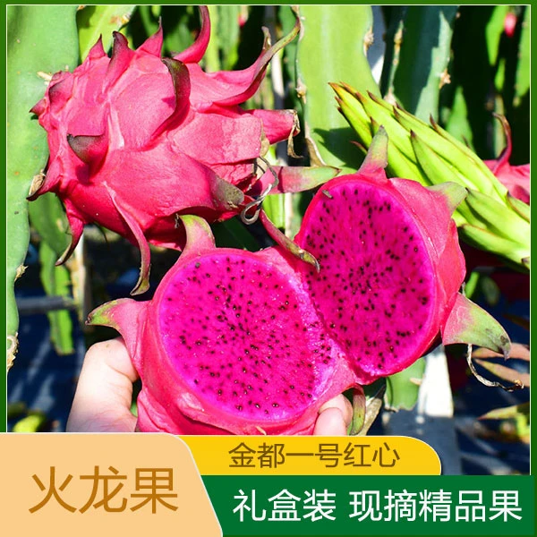 红心火龙果金都一号5斤整箱大果新鲜当季红肉水果包邮10精选多汁