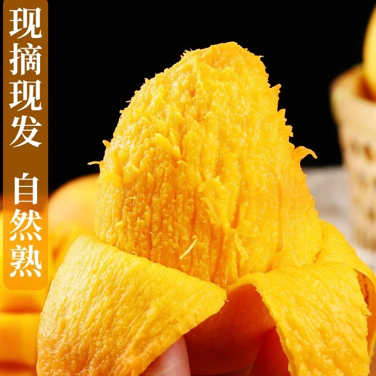香甜小台芒2斤 小时达配送到家
