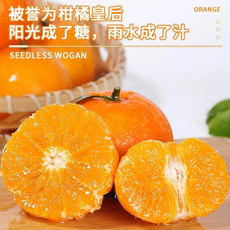 沃柑5斤 小时达配送到家