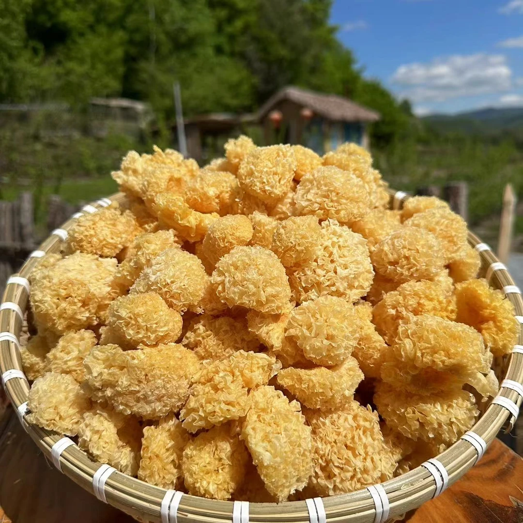 长白山椴木银耳 林下 250克