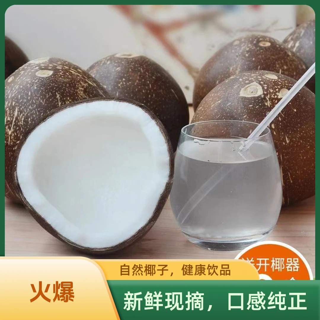 当天摘新鲜海南椰子天然椰皇9个装口感自然平淡坏果包赔营养解渴