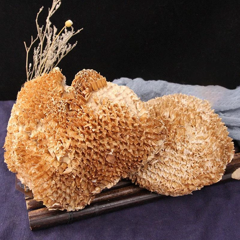 葵花盘干盐碱地向日葵干盘中药材内蒙优质整个葵花籽另售枸杞