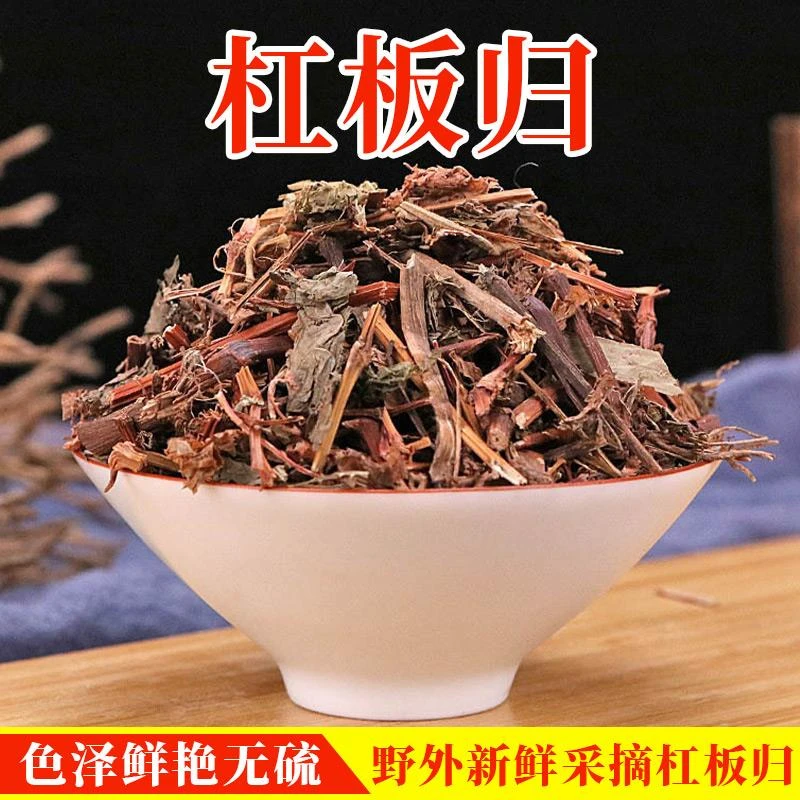 杠板归草中药材老虎脷舌药草河白草蛇退草正品干货新鲜扛板归草药