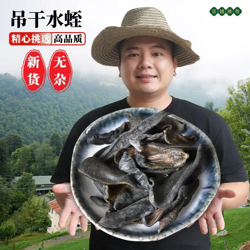 正宗清水吊干水蛭蚂蟥特级金边水蛭中药材无盐水蛭中药水另售枸杞