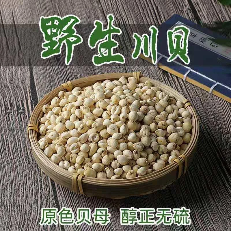 克包邮野生川贝母母新货无硫特级川贝母母正品川贝母秋梨膏