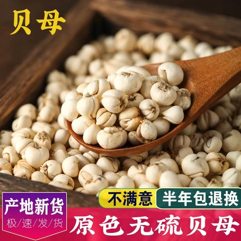 川贝母四川川贝粉中药材松贝母正品农家川贝茶