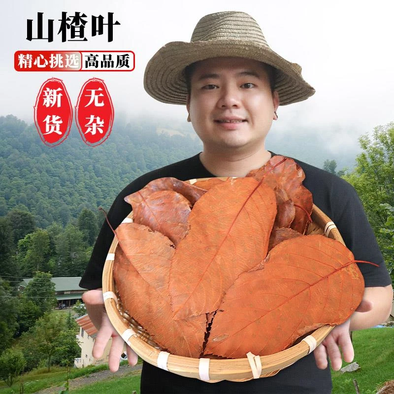 天然野生山楂叶茶山楂叶干山楂叶现货包邮