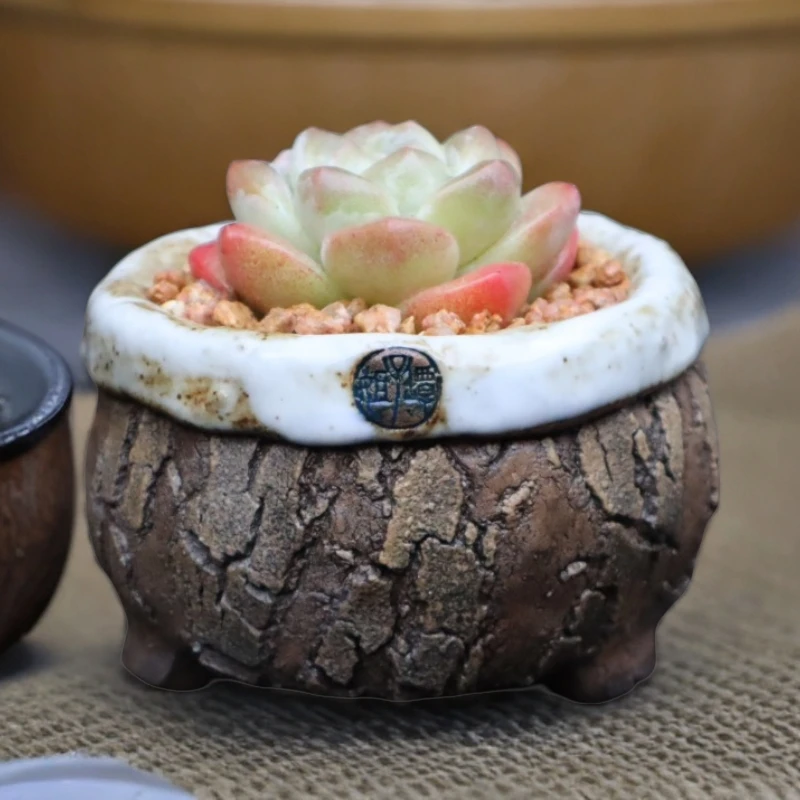 坛子姐手捏翻边简约版小包子单头群生粗陶控型透气多肉花盆