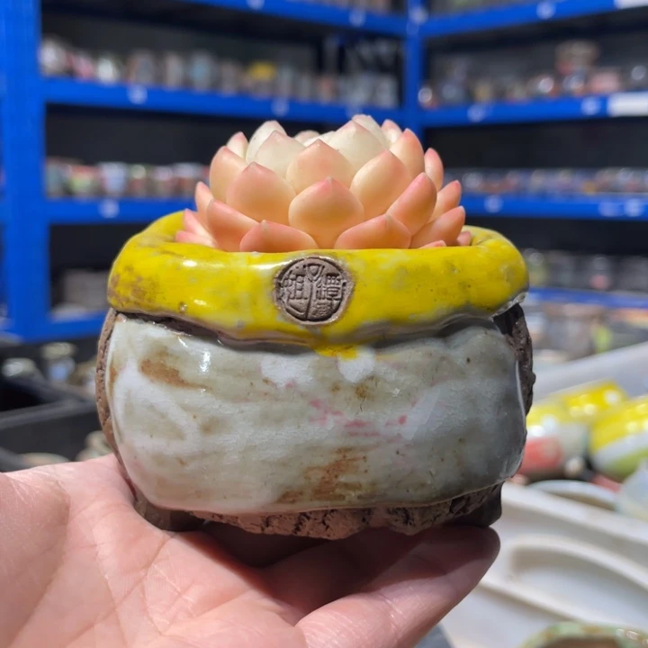 红陶20CM以下7-6微瑕