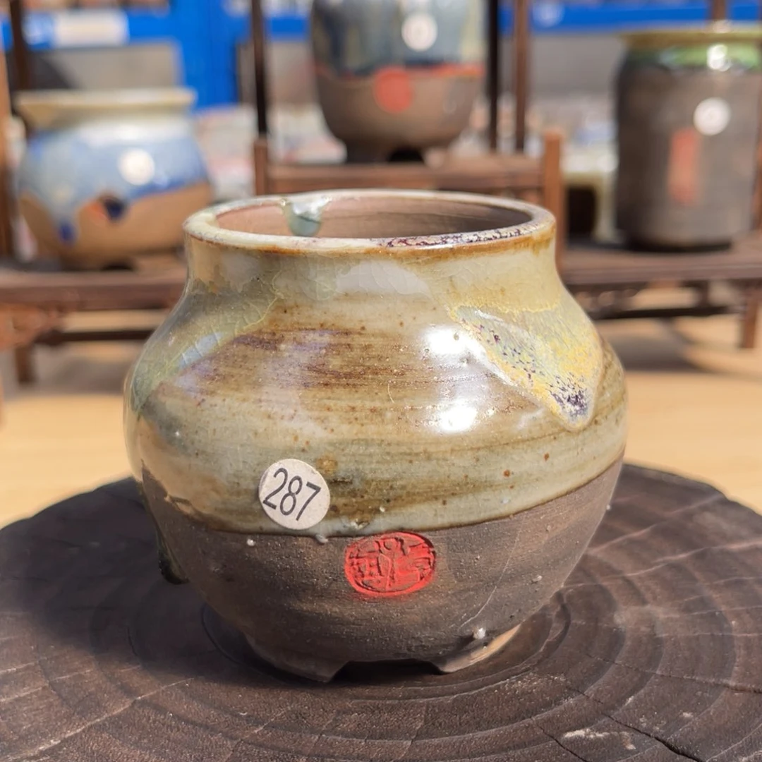红陶20CM以下5-6