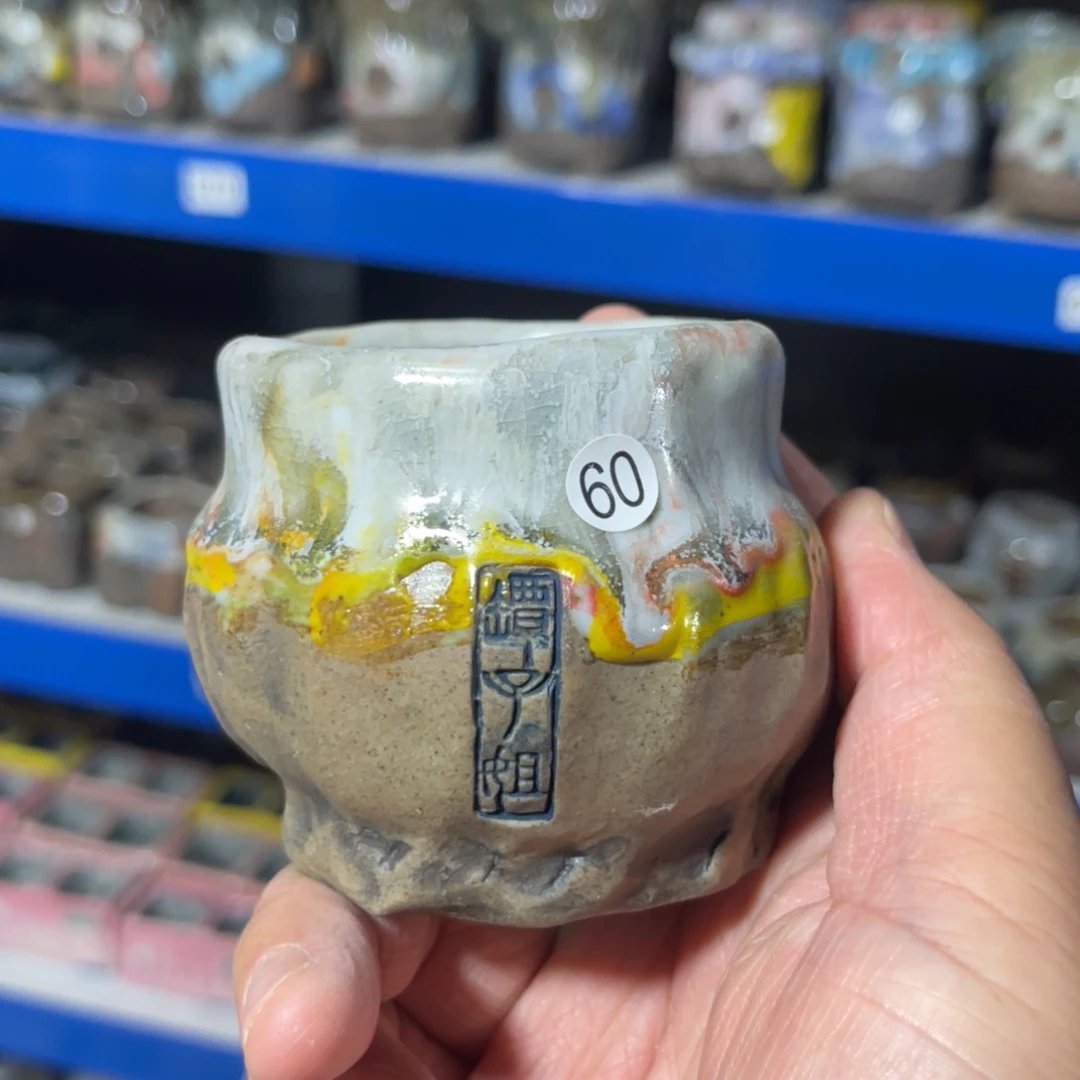 红陶20CM以下5.5-6