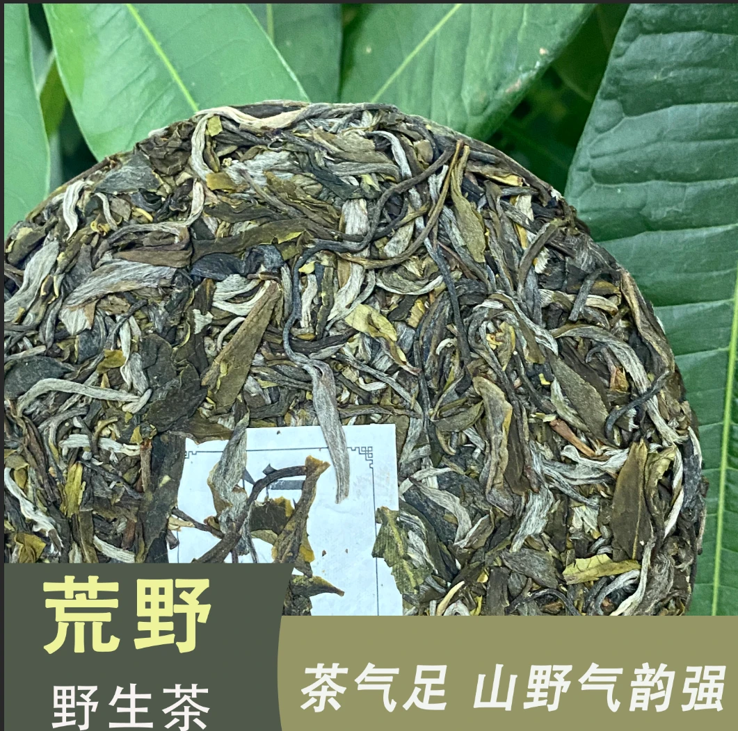 2023年 荒野 普洱茶 生茶（200g）