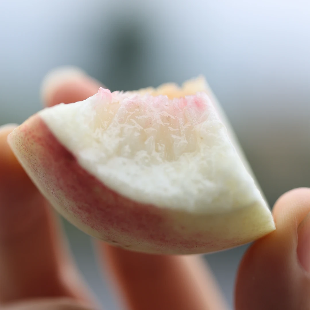 靠ken儿 没买到 该 哈哈哈哈你干瞪眼吧你