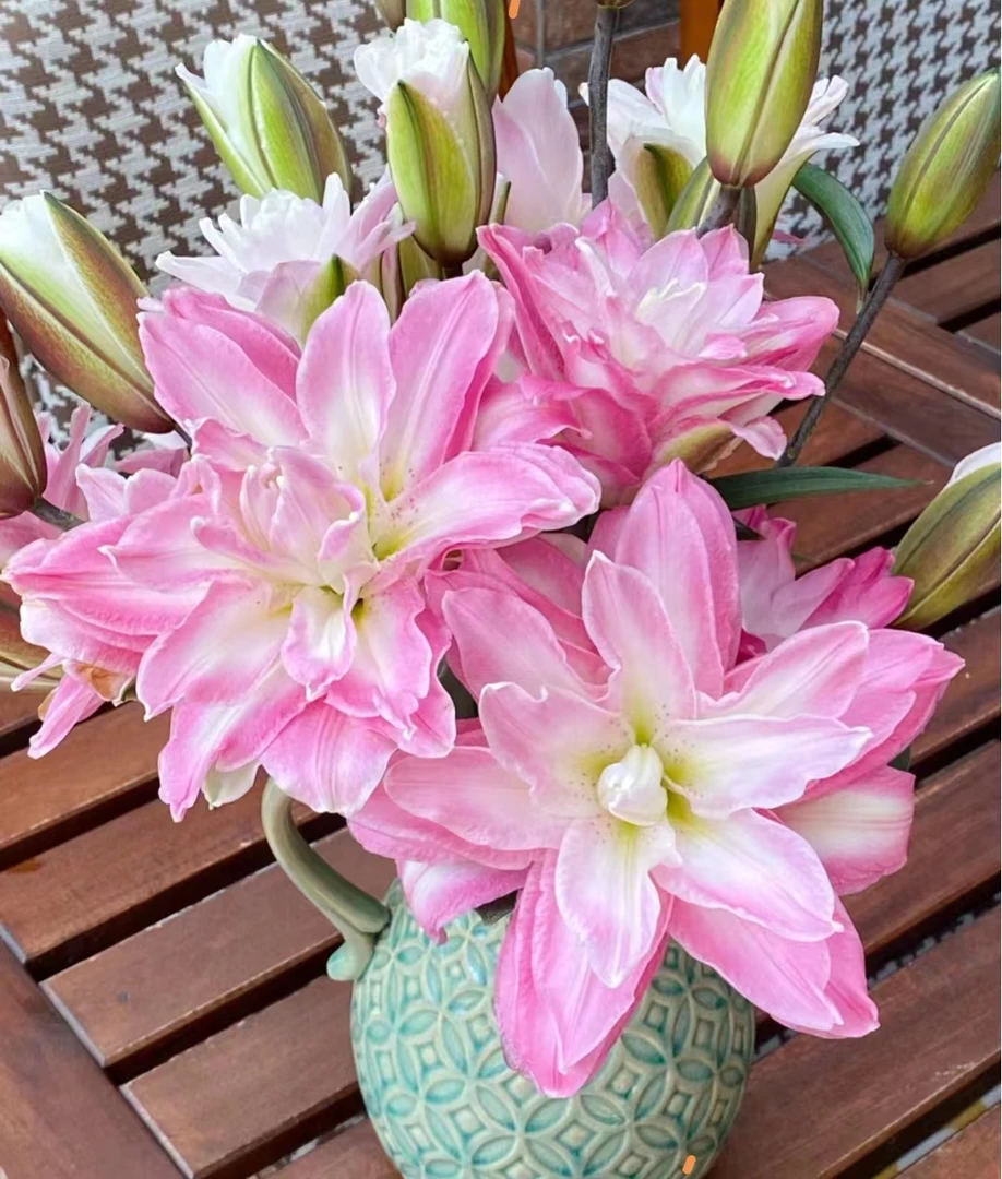 B88【莲花之境重瓣香水百合】顺丰包邮,生花苞发货,微熟不售后