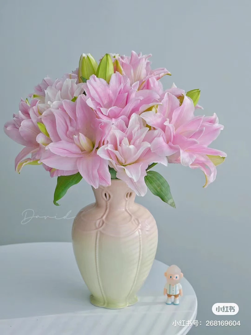 H13：【贵妃重瓣香水百合】一单顺丰包邮，生花苞发货，微熟不售后
