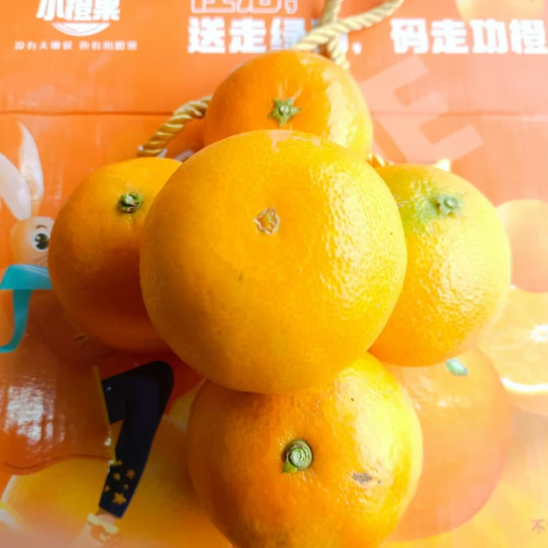 恩施爱媛果冻橙4.5斤