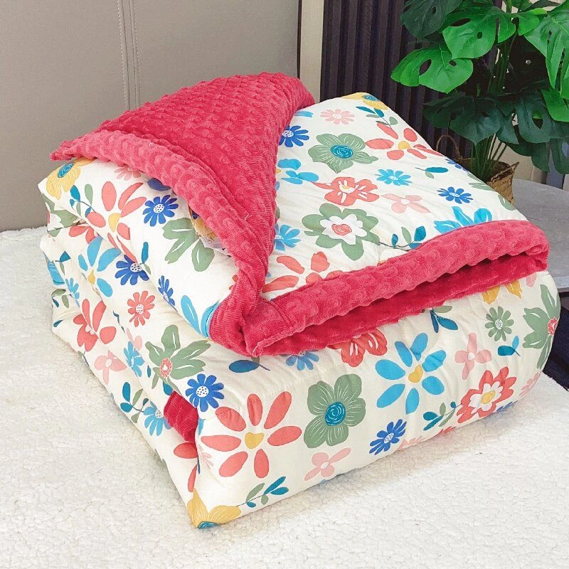 2025新款豆豆绒单人学生宿舍加厚可机洗春秋被AB面双人加绒被子