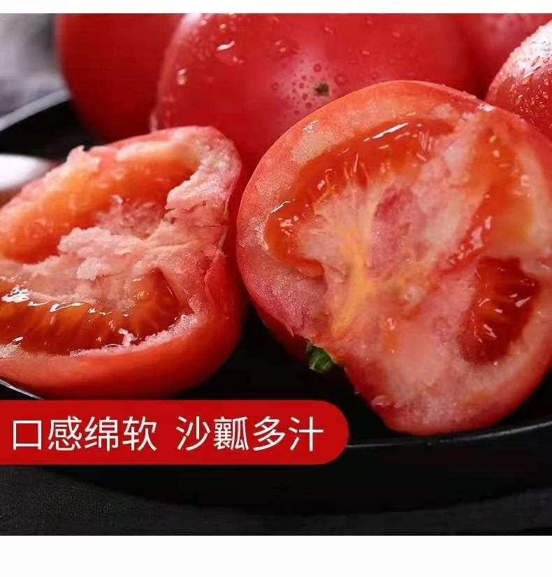 天津本地老味沙瓤西红柿自然成熟-拍5发6包邮 京东送货到家