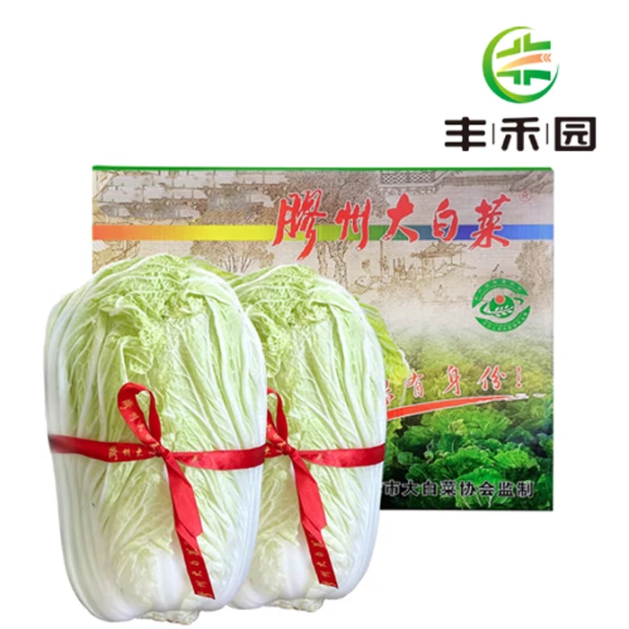 丰禾园 胶州大白菜10-12斤/颗  2颗礼盒装
