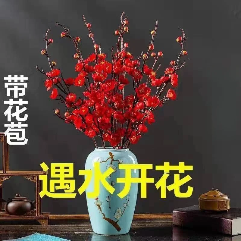 【遇水开花】新年装饰梅花枝遇水开花冬季室内水培梅干枝年宵花卉