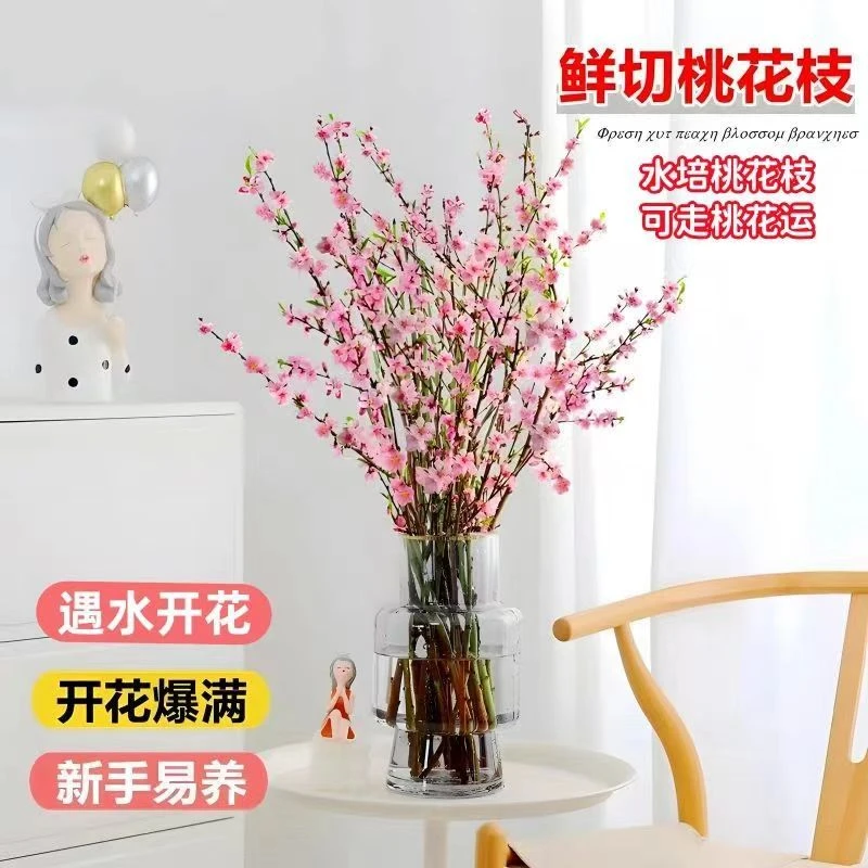 遇水开花水培桃花鲜枝室内插花水培桃树枝懒人装饰乔迁必备超新鲜