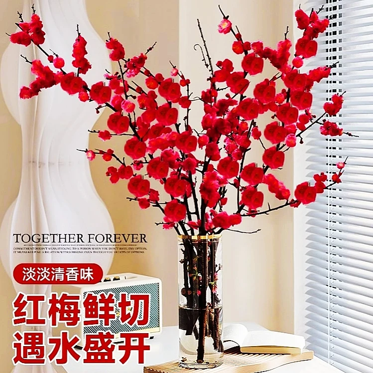水培植物水养干枝红梅遇水开花带花苞鲜花好养冬季红梅鲜花枝耐寒