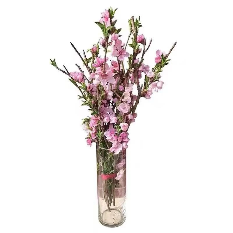 遇水开花干枝红梅带花苞红梅花枝春节开花耐寒好养易活新年装饰品