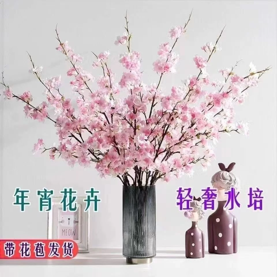 【遇水开花】新年装饰梅花枝遇水开花冬季室内水培梅干枝年宵花卉