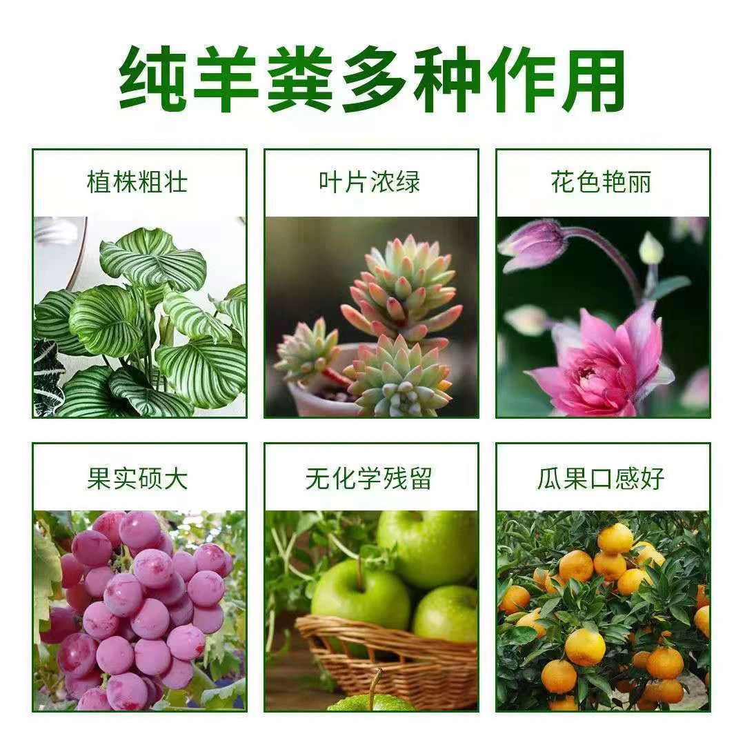 纯羊粪发酵有机肥花肥蔬菜花卉专用颗粒大包腐熟农家养花牛粪肥料