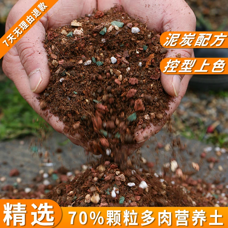 九月园艺专享多肉专用颗粒土控型上色多肉土