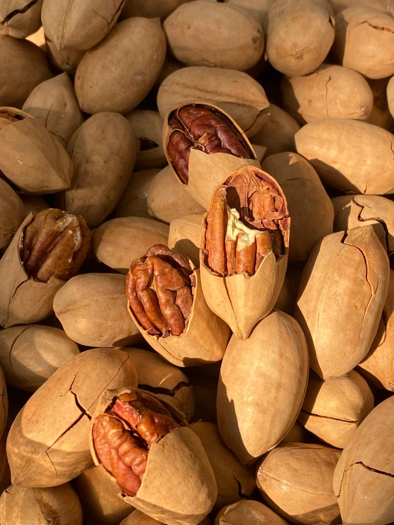 干果碧根果40元一斤