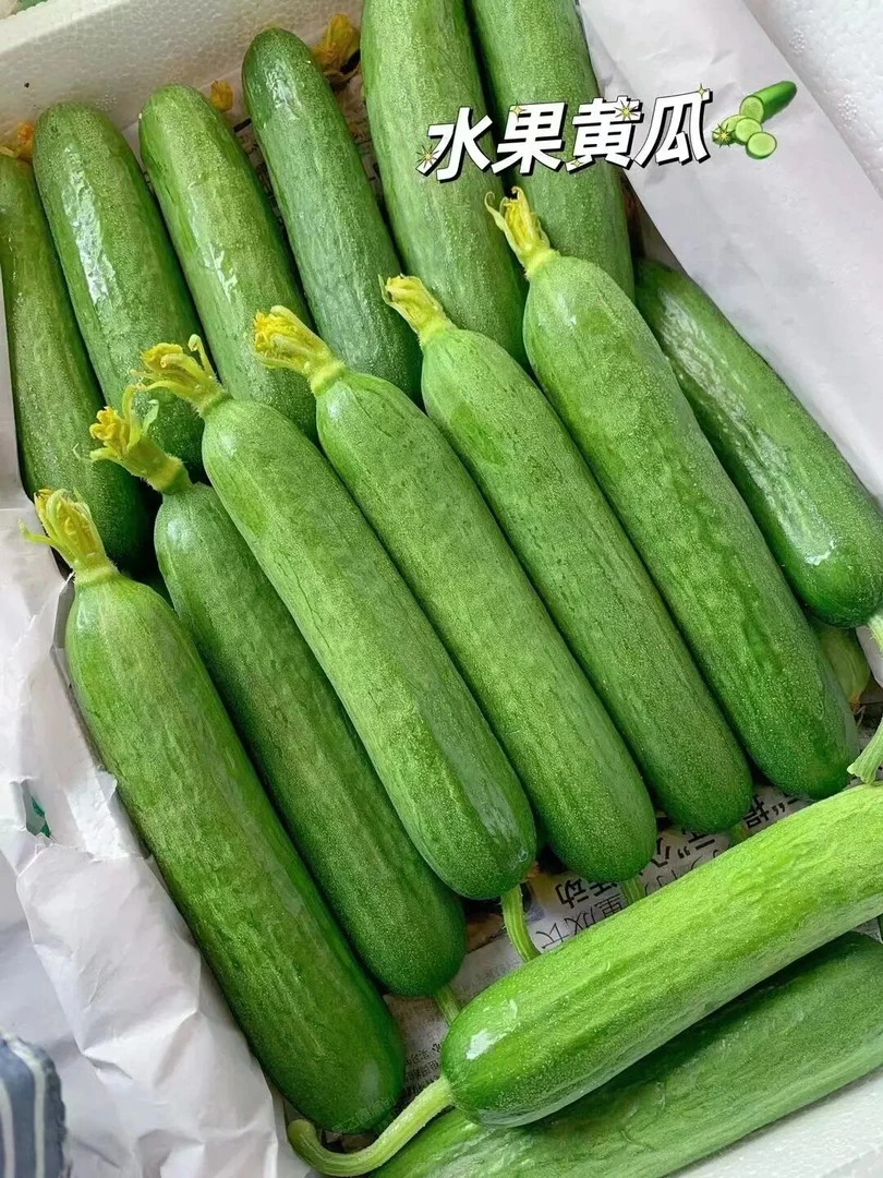(新鲜)小黄瓜500g