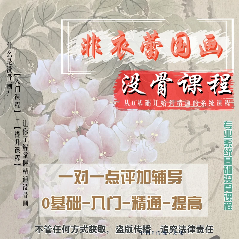 非衣蕾国画没骨画0基础入门/提升/精通绘画课程写生