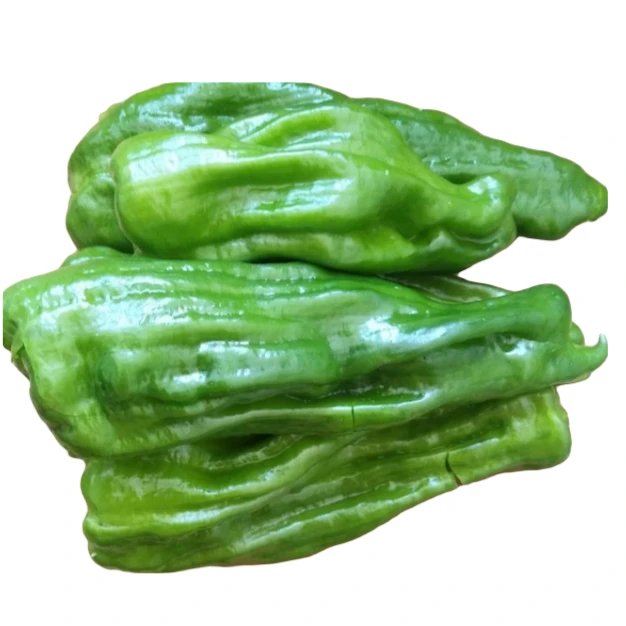软皮青椒 250g