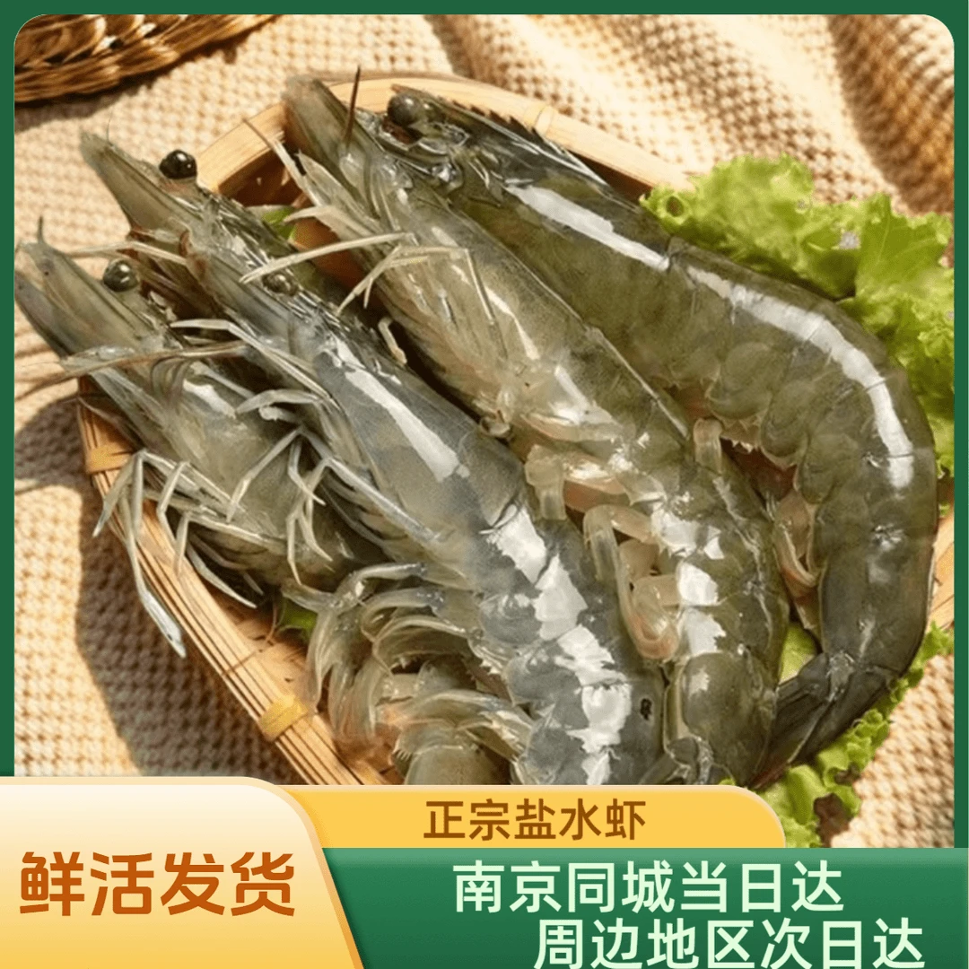 大号盐水虾对虾（一斤25只左右）江浙沪皖鲜活发货 其他地区速冻发