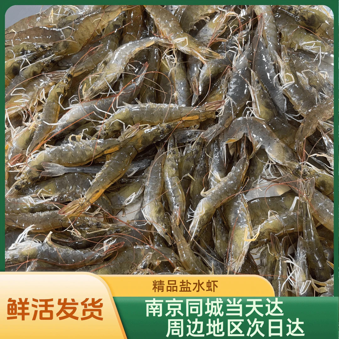 盐水虾对虾（35只左右/斤）南京同城鲜活发货  其余地区活虾速冻