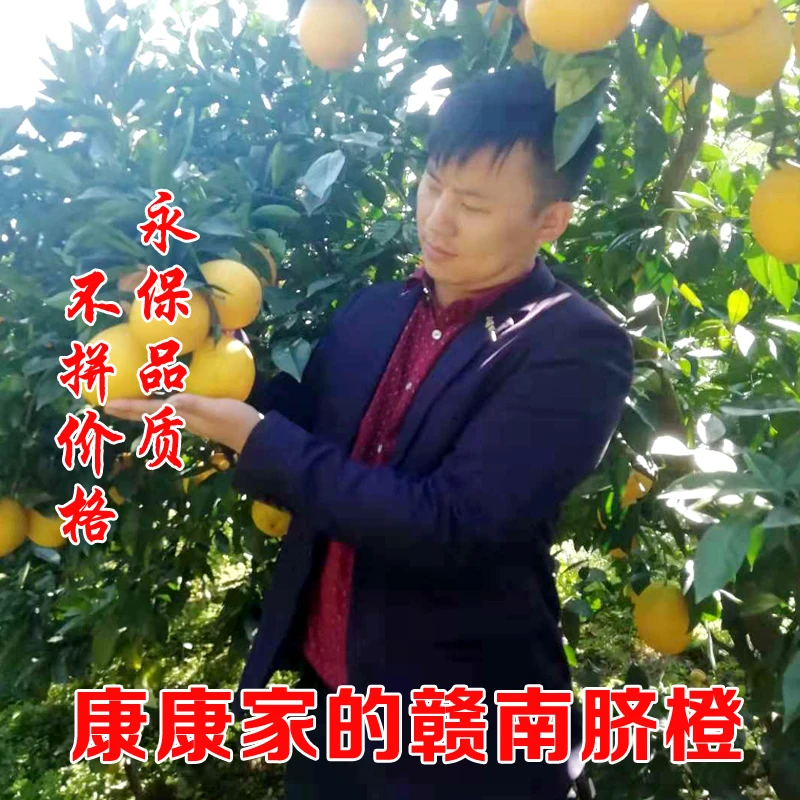 江西送礼赣南脐橙信丰甜橙带箱3斤/10斤新鲜水果现采现发甜橙鲜甜