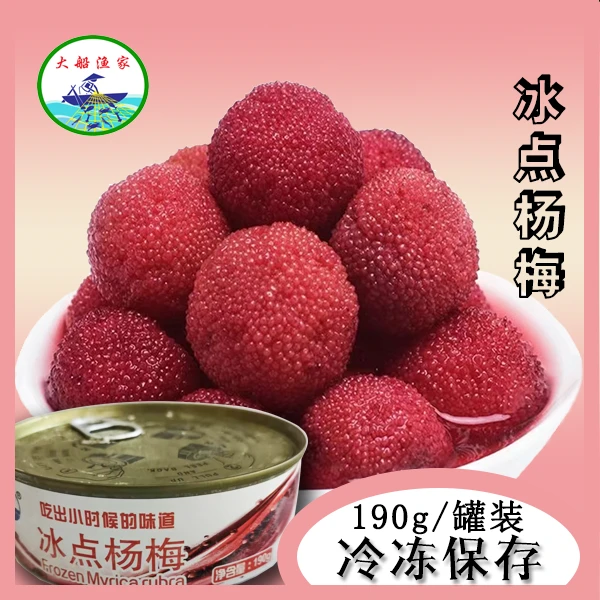 【冷冻保存】190g冰点杨梅*6罐 顺丰包邮